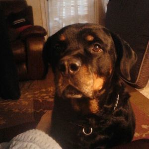 Meet your Posher, Tracey